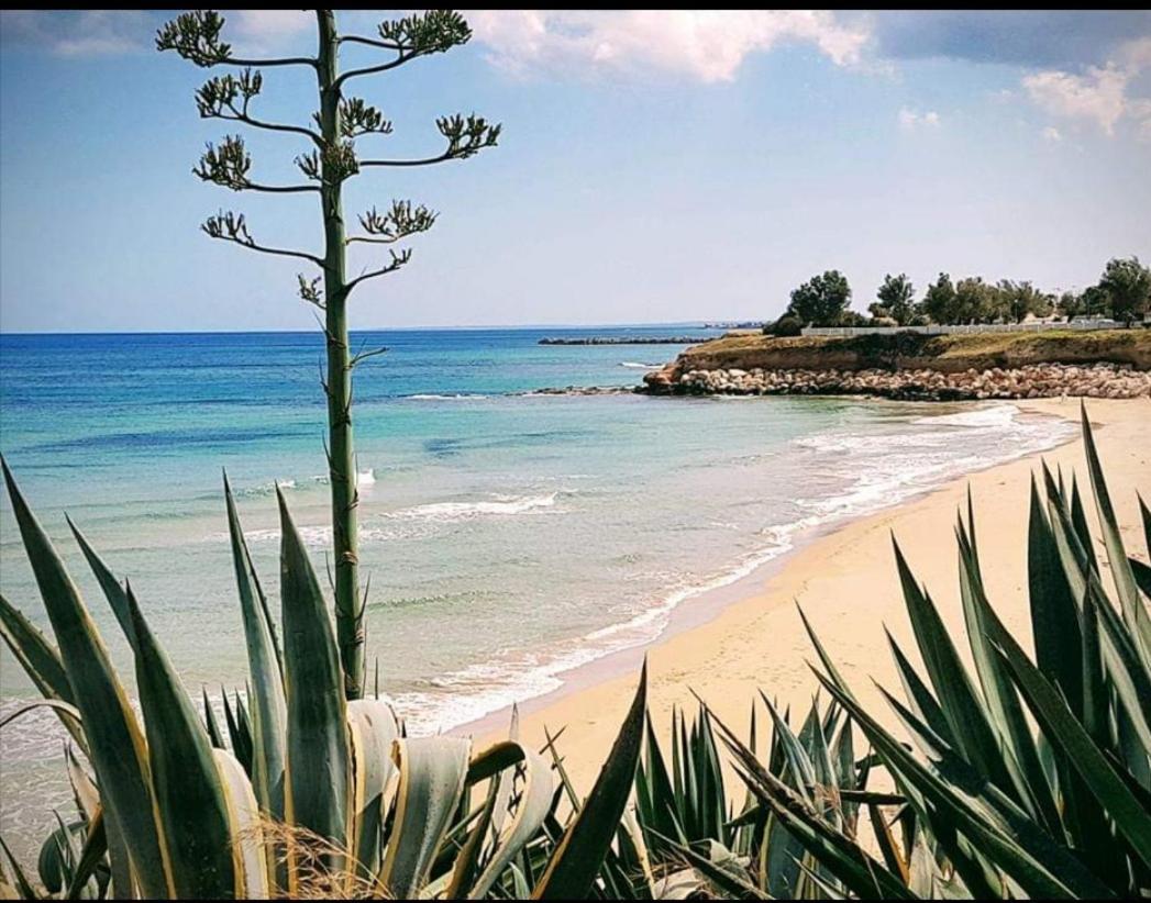 Scogliera Сasa de vacaciones